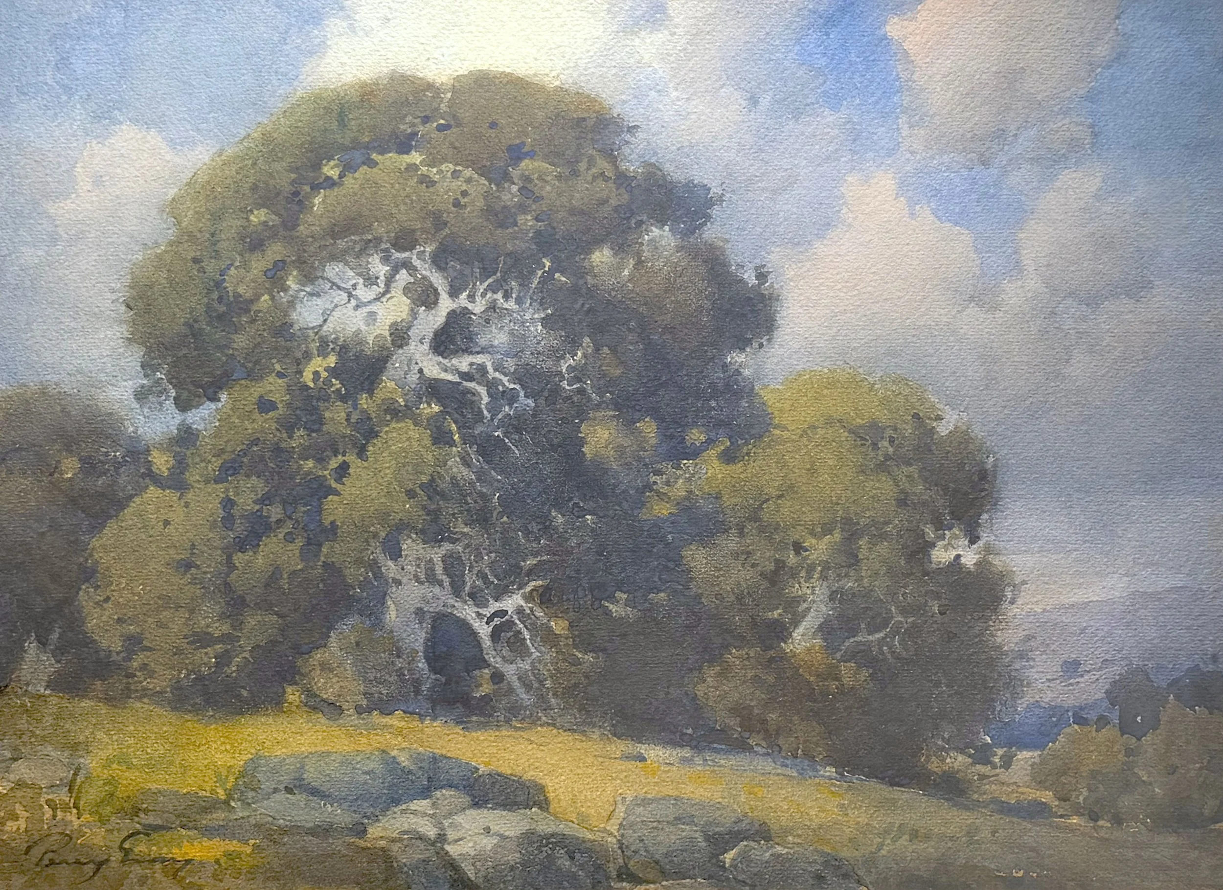 Monterey Oak 