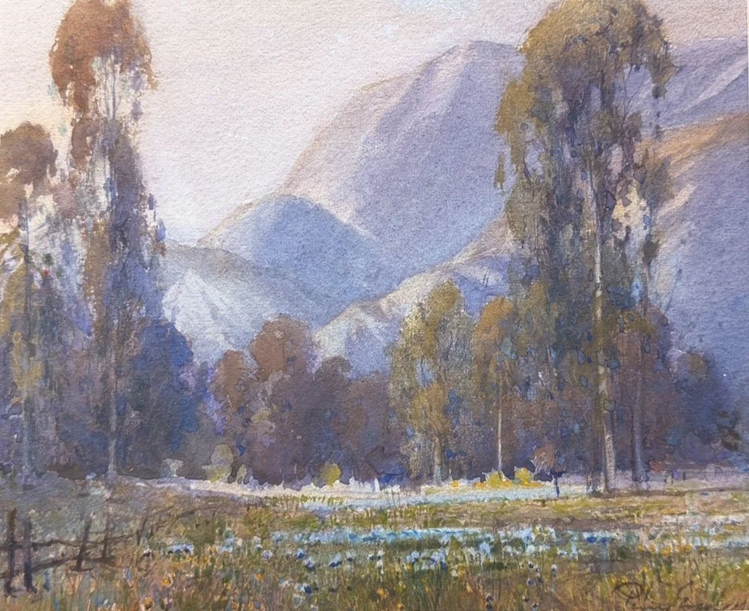 Eucalyptus and Lupines