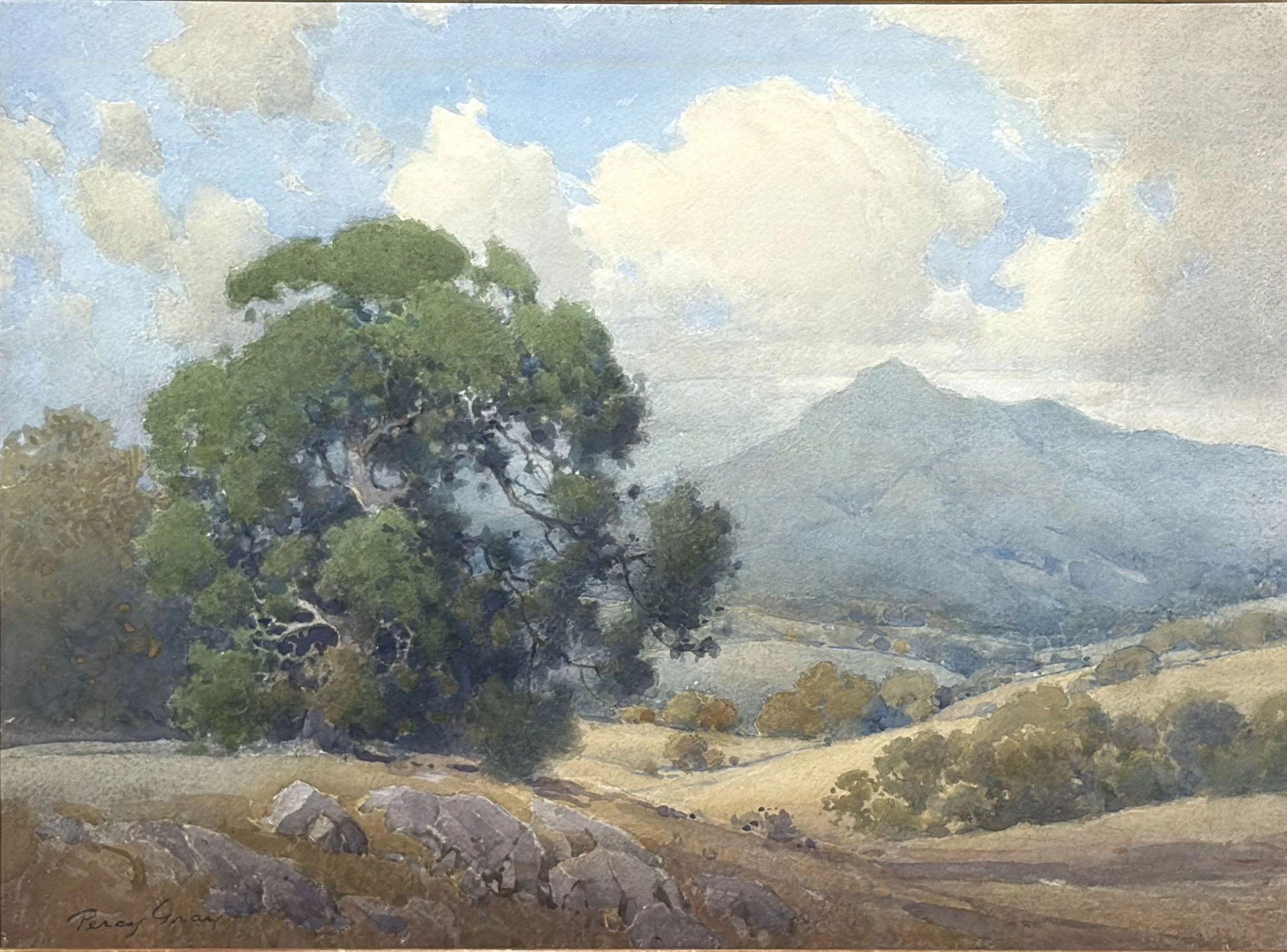 Mt. Tamalpais 