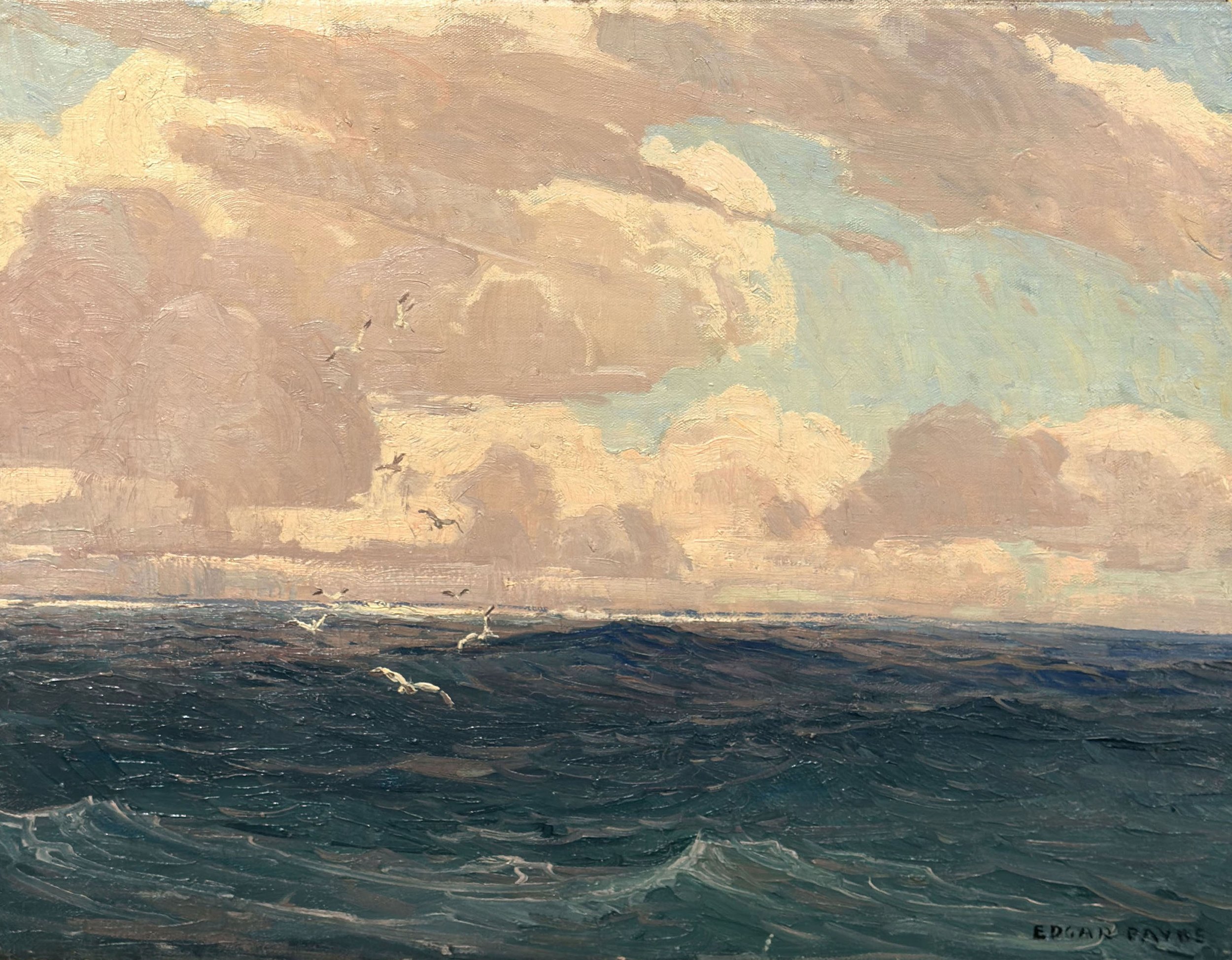 Gulls at Sea