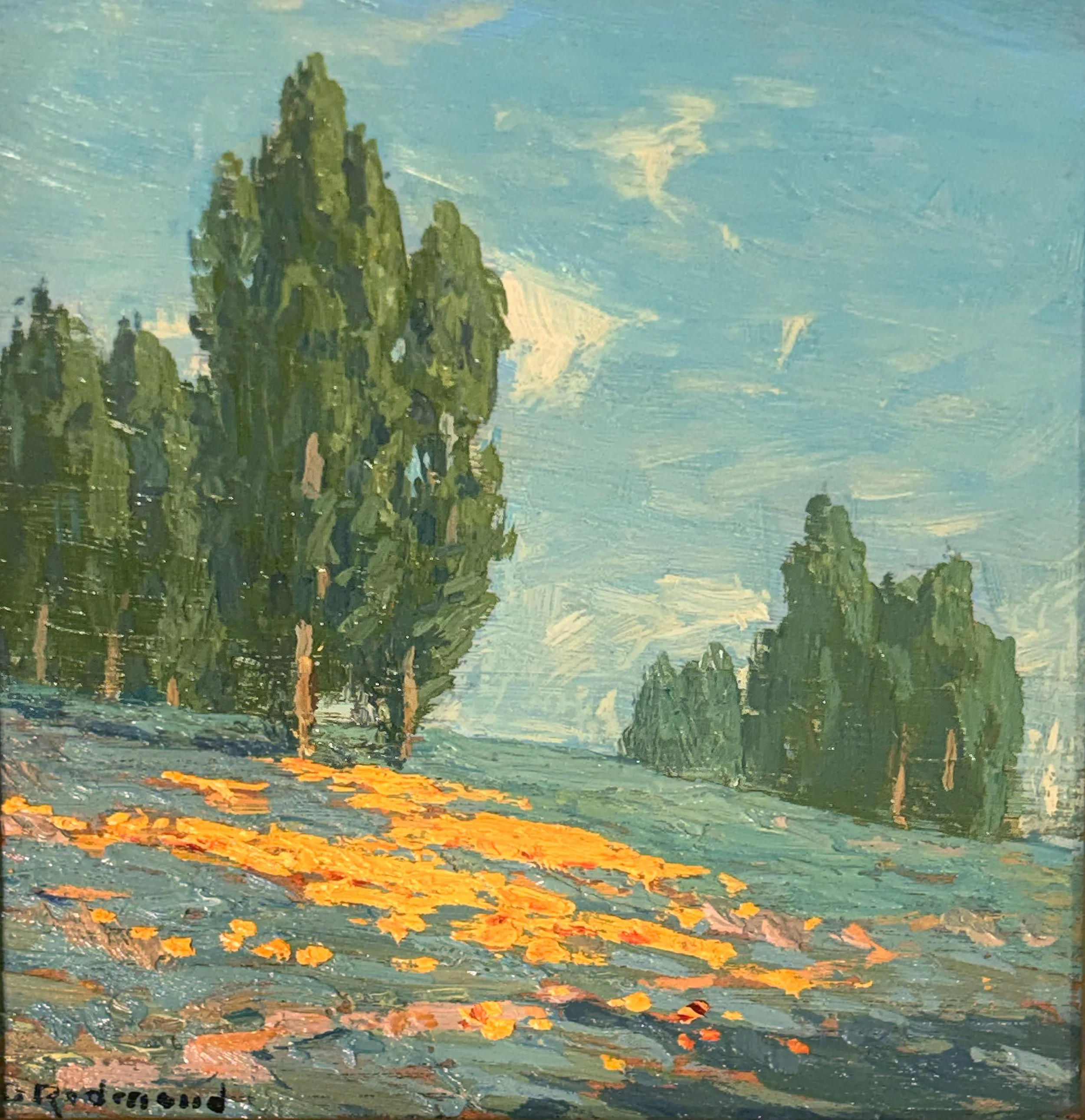 Landscape with Poppies and Eucalypti 