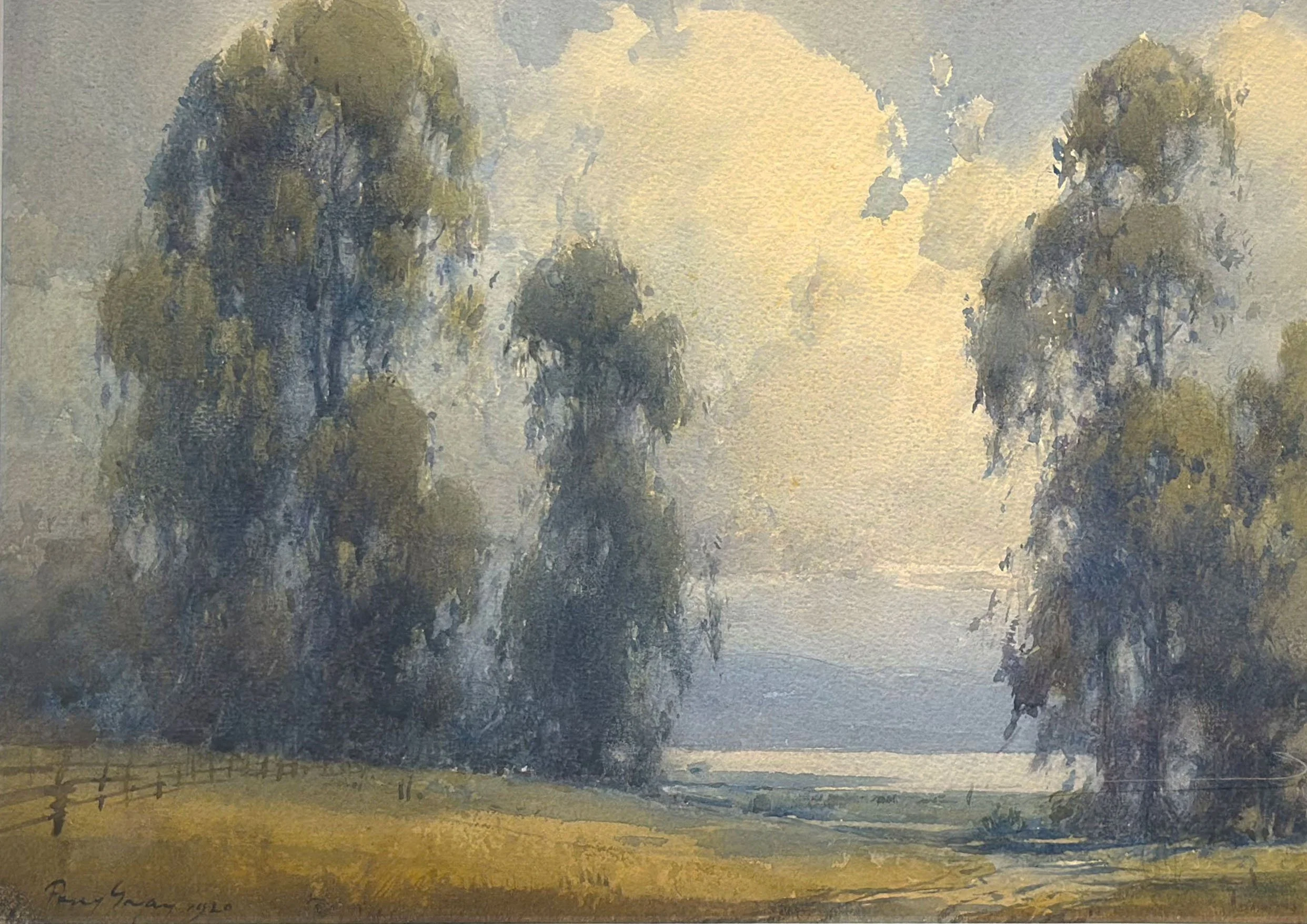 Eucalyptus Trees by Water, 1920
