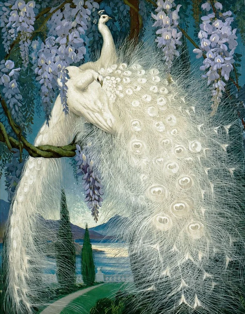 White Peacocks
