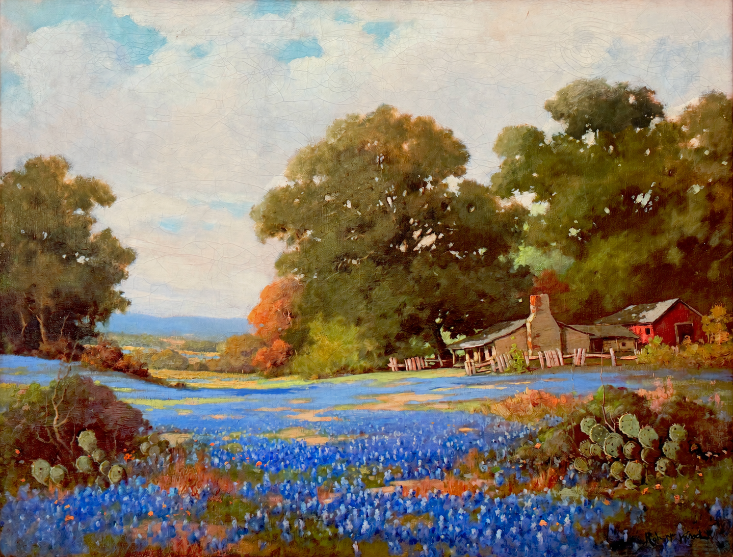 Texas Hill Country Bluebonnets