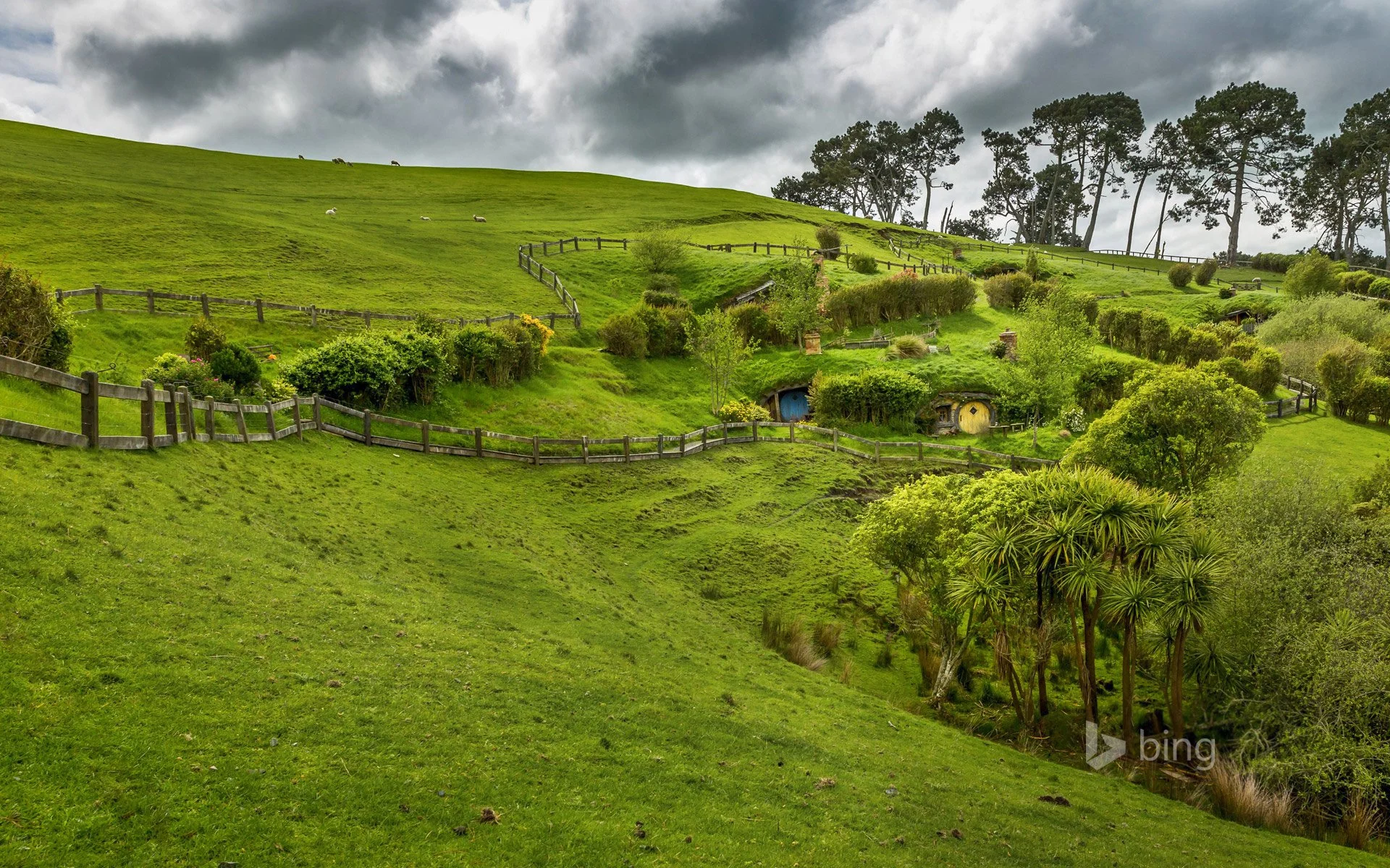 Hobbiton, near Matamata, North Island, New Zealand - Copy.jpg
