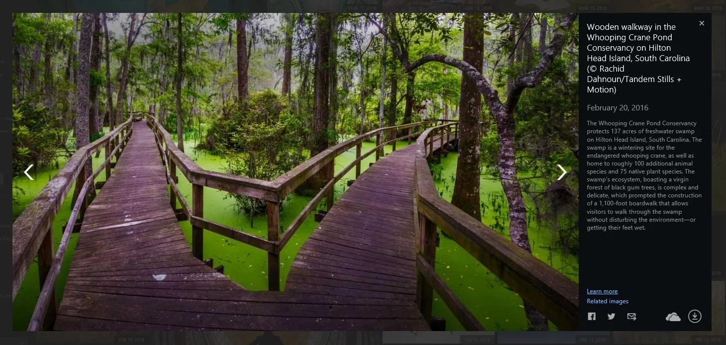 HiltonHeadIslandSC.JPG