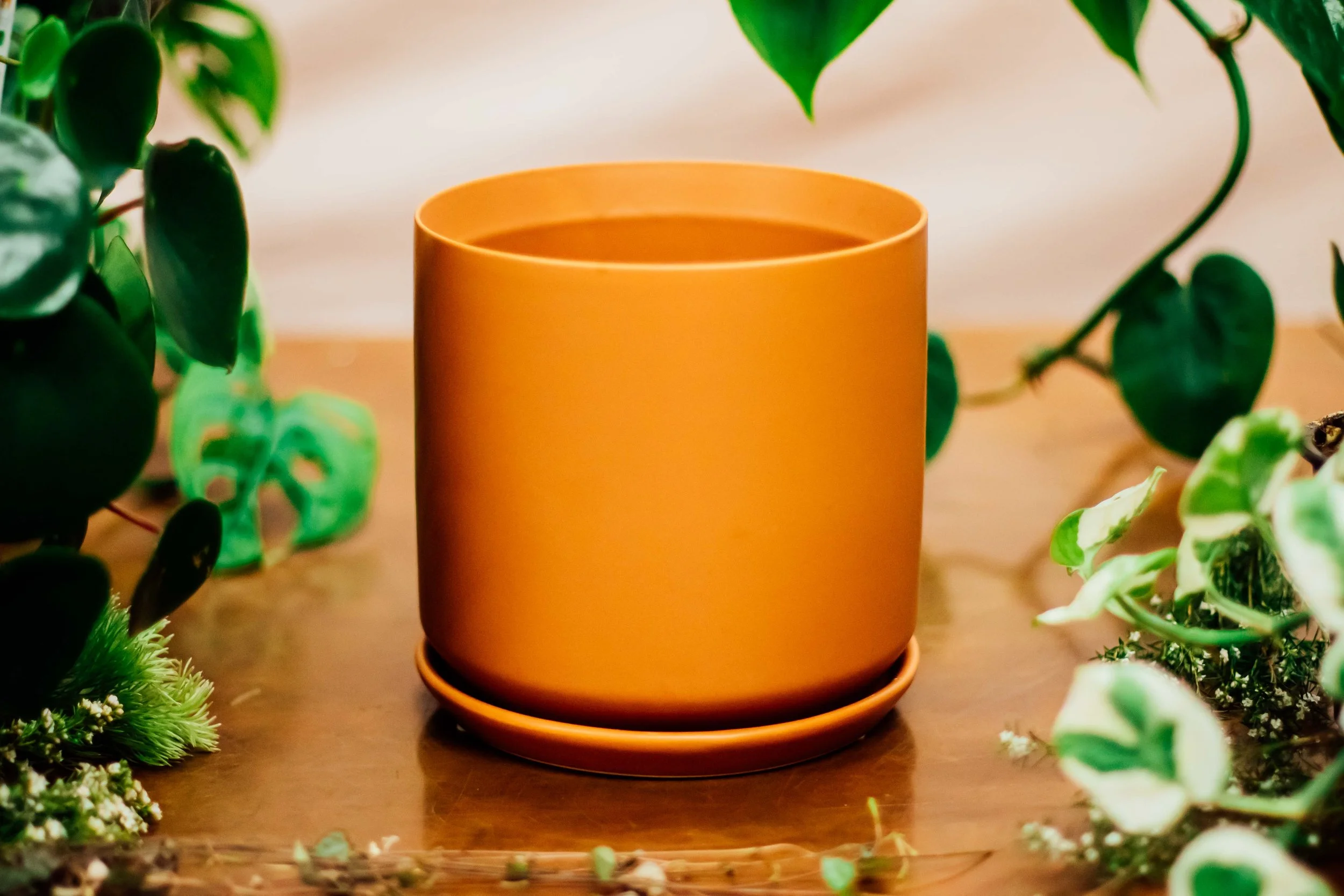 Terracotta Lifestyle pot
| small