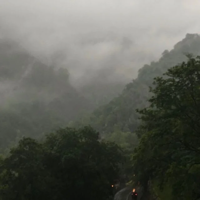 @xune.andrade nos prepara canel&oacute;n de corderu xaldu, con reducci&oacute;n de leche de oveja y vegetales🥕 y nos cuenta porqu&eacute;: &ldquo;han nacido corderos estas semanas y el equilibrio del reba&ntilde;o es fundamental para el bienestar y 