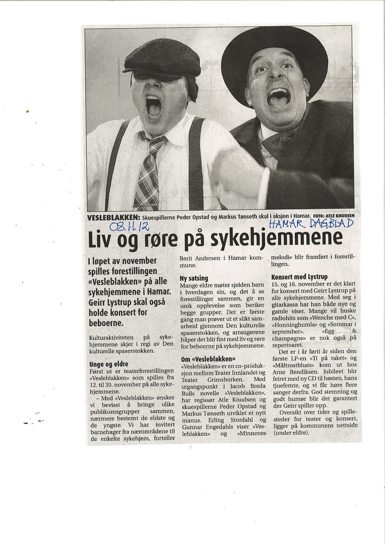Nov 08 2012 Hamar Dagblad.jpg