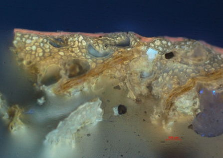 Analysis of a cross-section sample of the varnish fluorescing orange under UV light