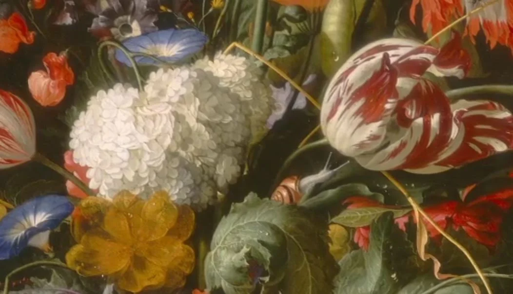 5eGRDN Newcastle-bespoke landscape design.JPG