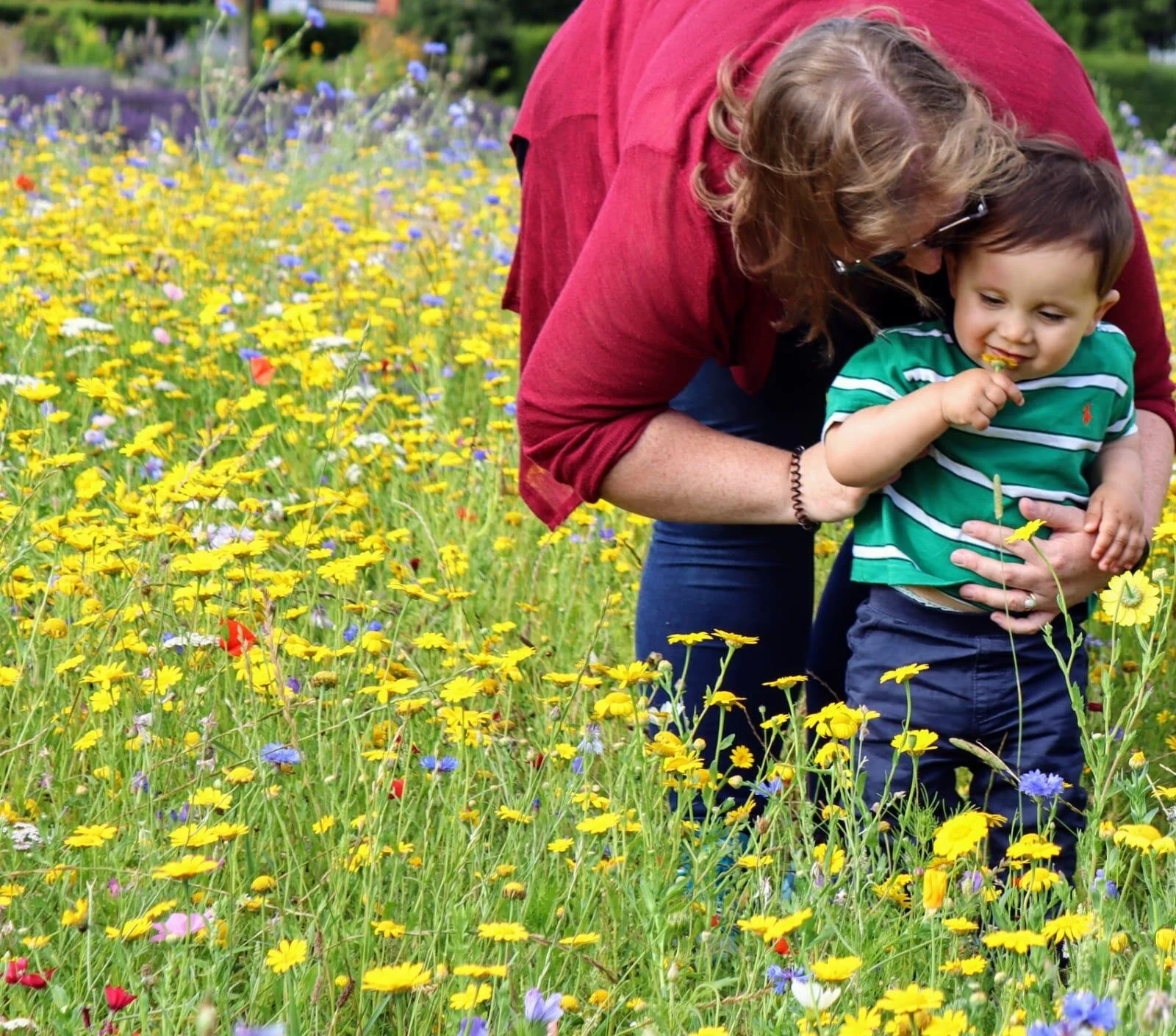 A walk in the park – our favourite park walks