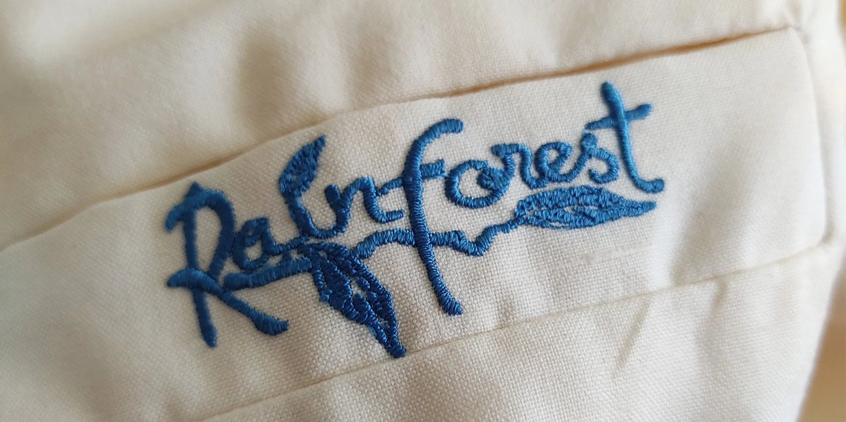 rainforest 6.jpg