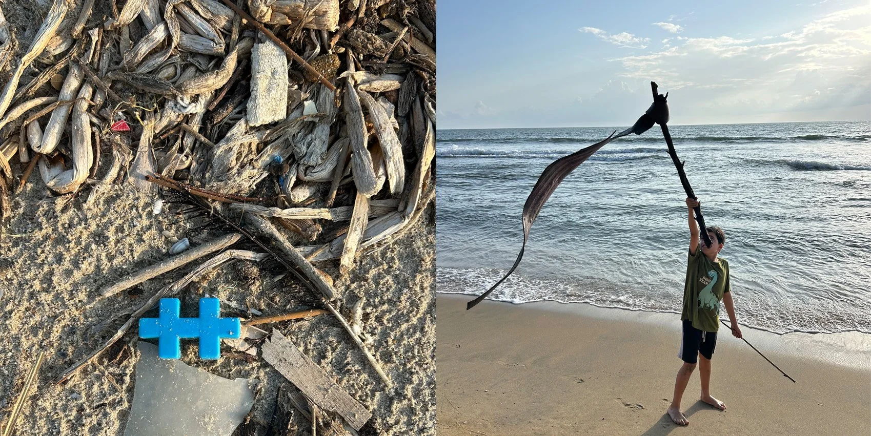beach 12.jpg