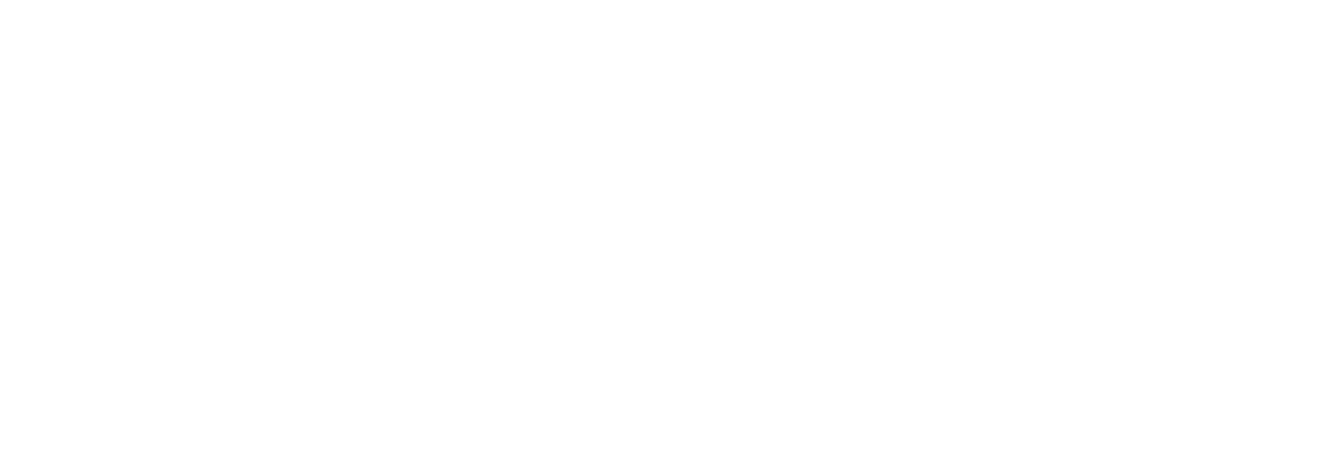 FASHION STYLIST