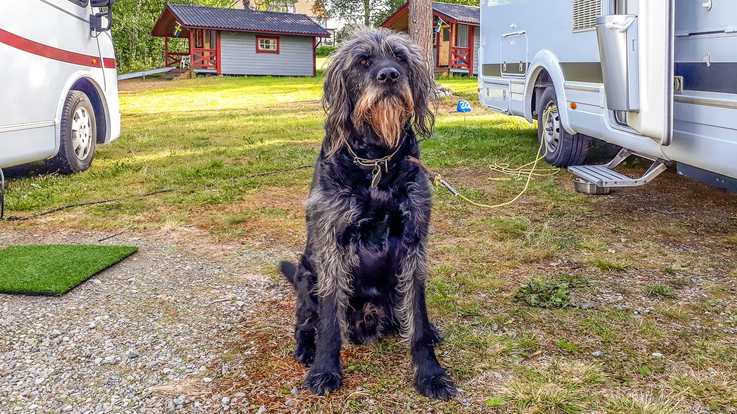 20190710_082932_sonfjallscampen.jpg
