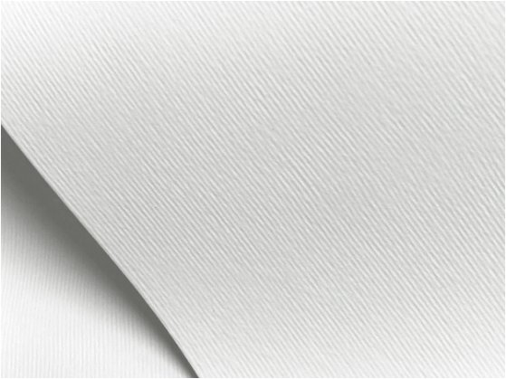 nettuno paper fold.jpg