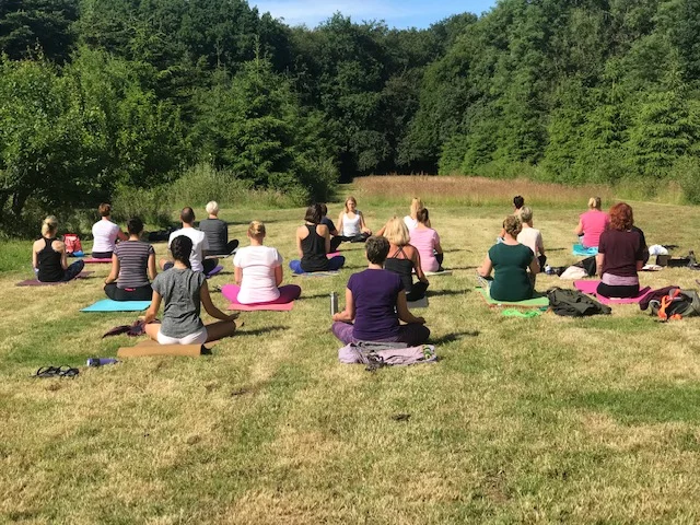 Wild Yoga Brunch: September Details Coming Soon