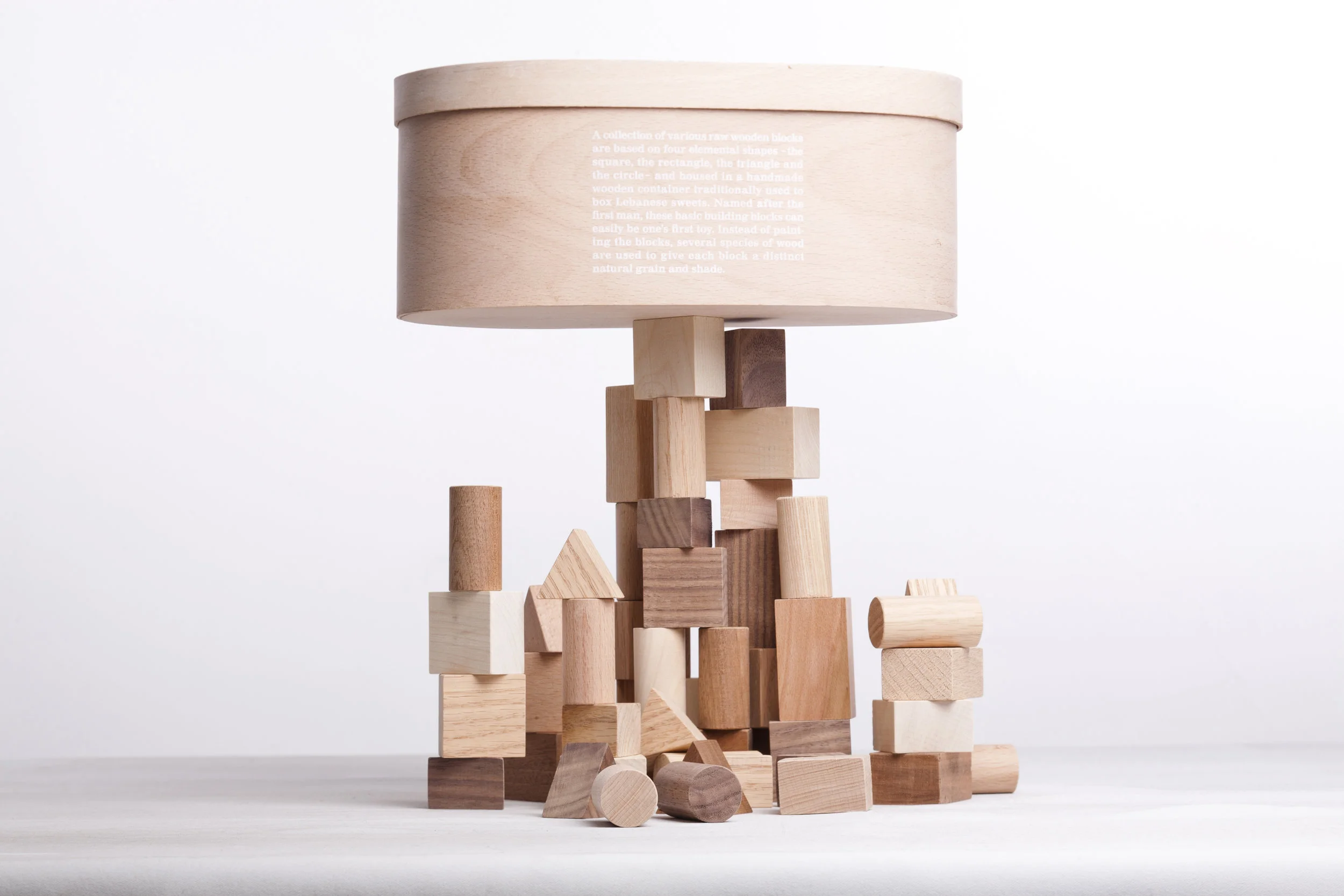 Karen Chekerdjian_Series_Toys_Adam's_NAsfar-02.jpg