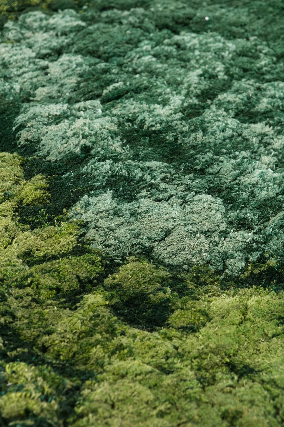 KarenChekerdjian_IwanMaktabi_Over the forest_2016-02.jpg