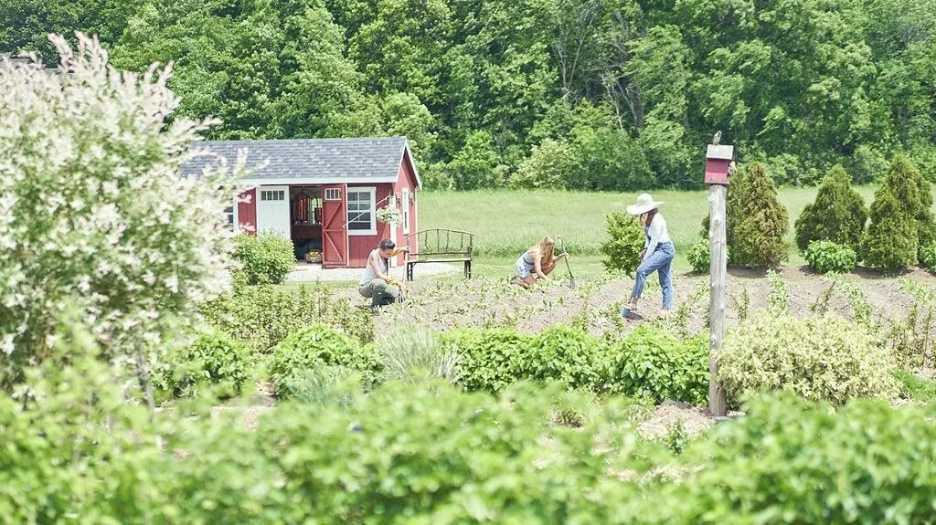 WhatsApp Image 2023-03-31 at 14.33.48 (4).jpeg