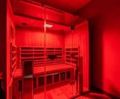 infrared sauana.jpeg
