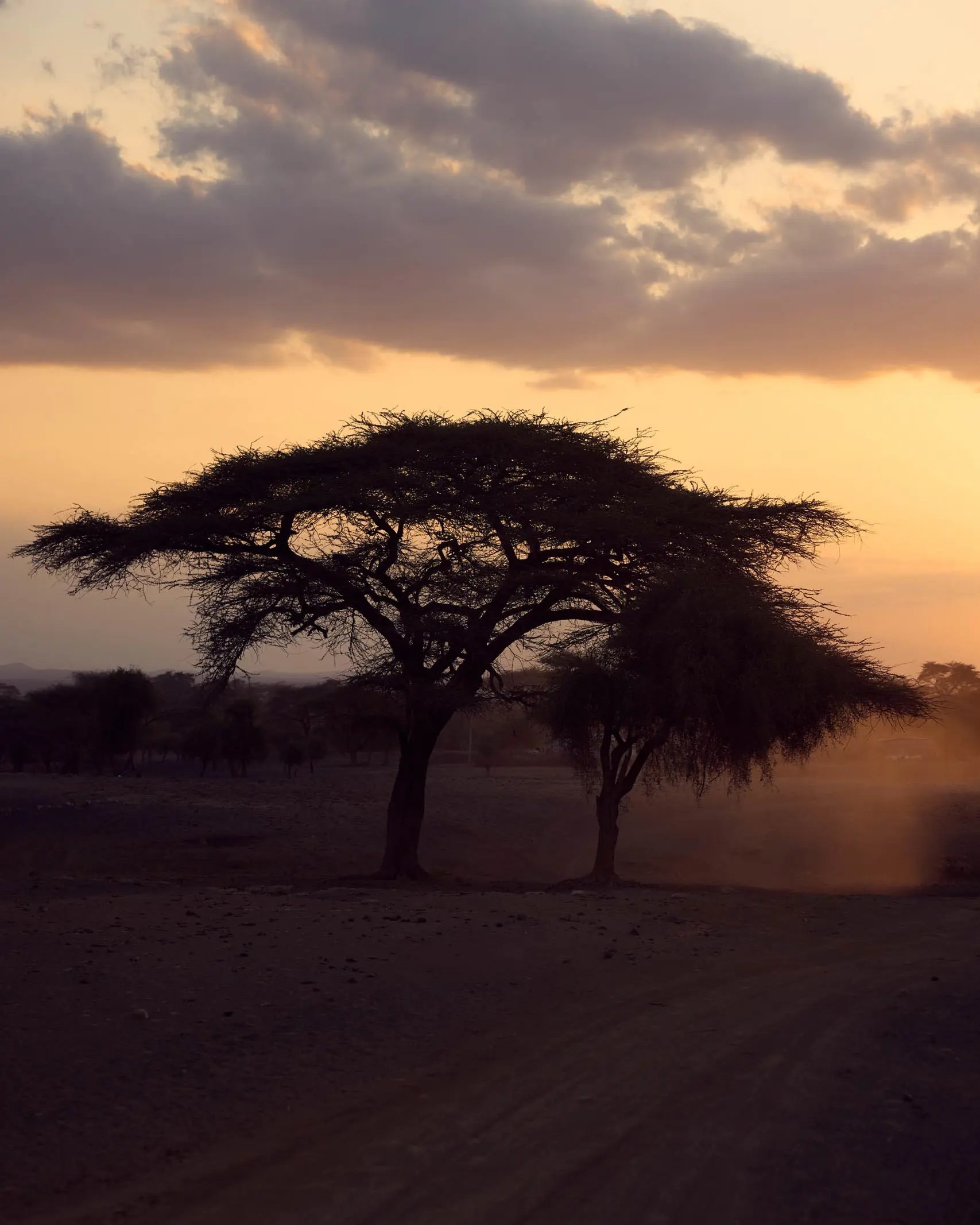 discover-collection_kenya_0040.jpg.jpeg