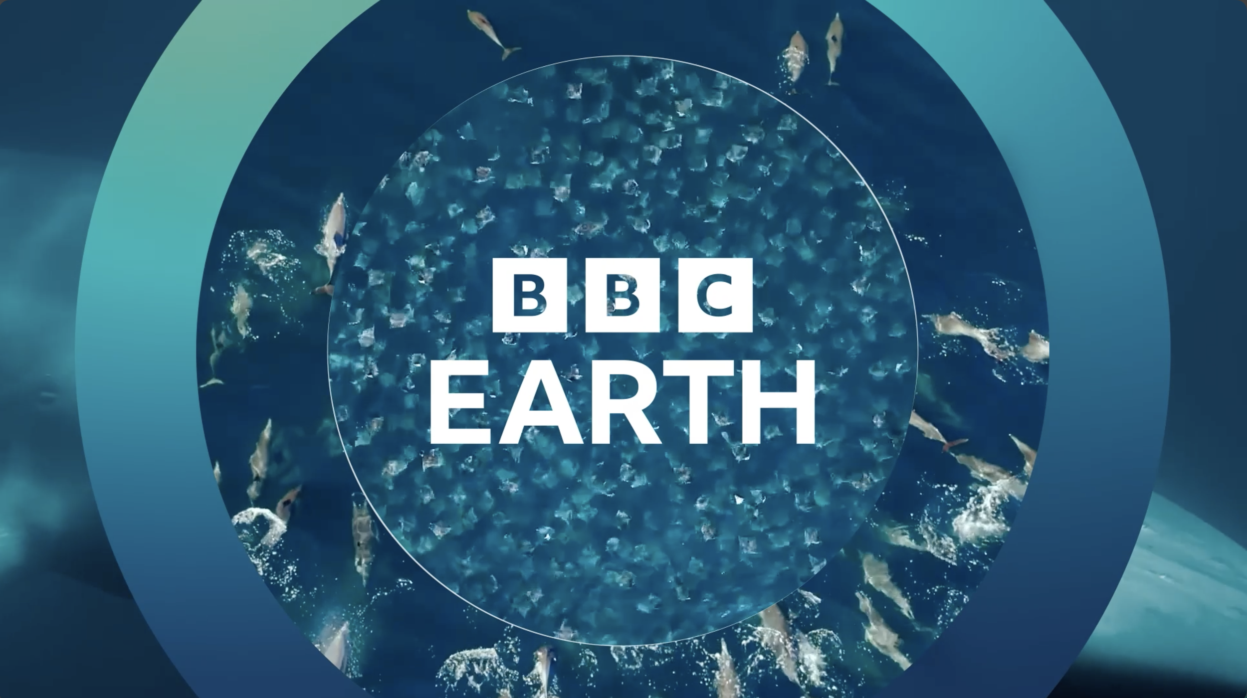 BBC Earth Scale