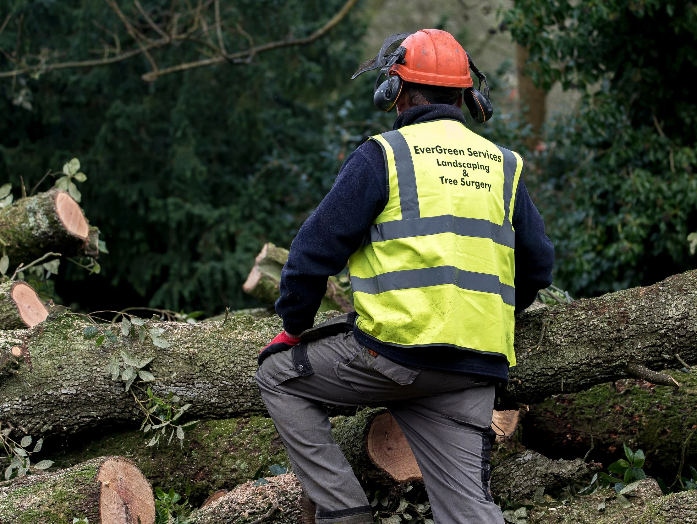 EVERGREEN TREE SURGERY TAWSTOCKALTITUDE58 (34 of 36).jpg