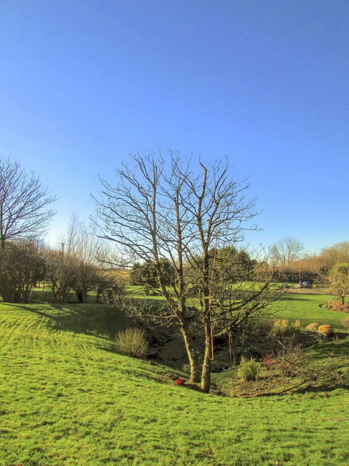 Evergreen landscaping north devon-1-10.jpg