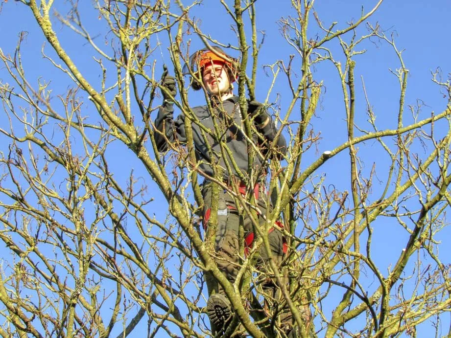 Evergreen landscaping north devon-1-11.jpg