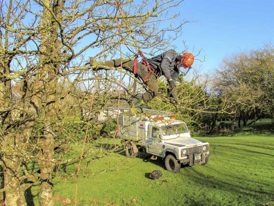 Evergreen landscaping north devon-1-13.jpg