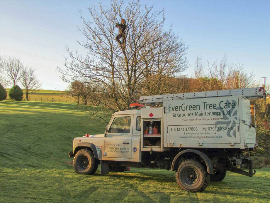 Evergreen landscaping north devon-1-1.jpg