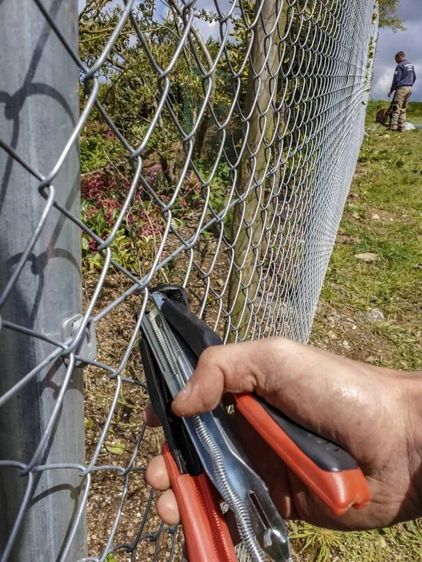 Evergreen services chainlink 2019-6.jpg