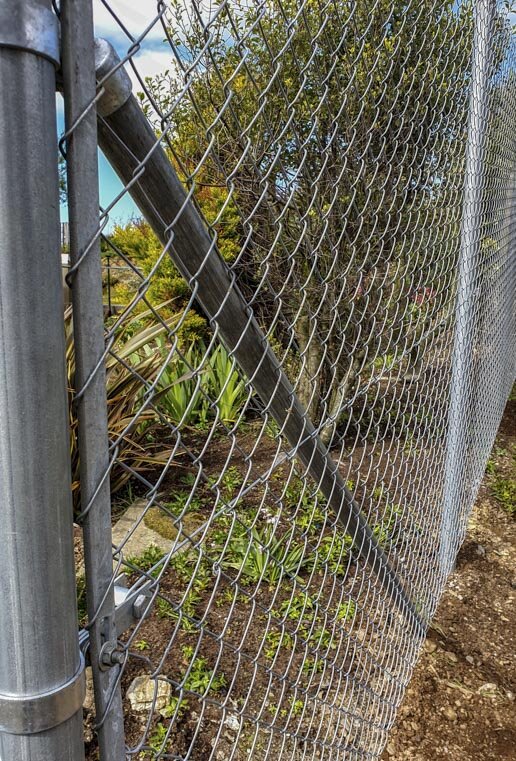 Evergreen services chainlink 2019-10.jpg