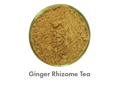 Ginger Rhizome Tea.png
