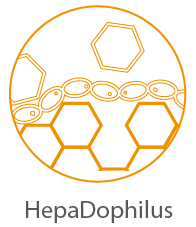 HepaDophilus icon-01.png
