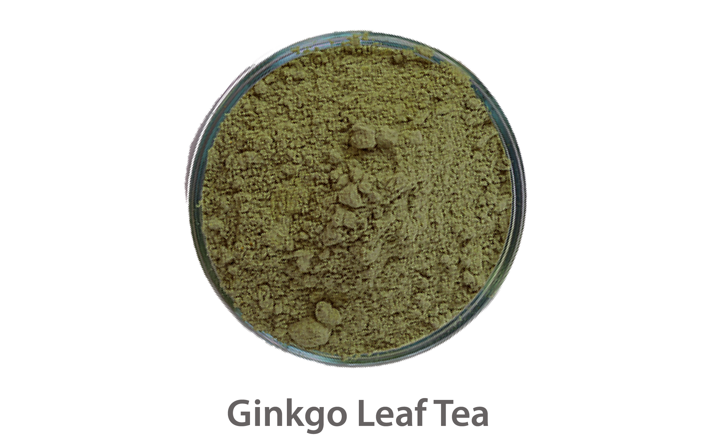 Ginkgo Leaf Tea-01.png