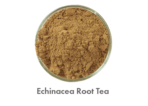 Echinacea Root Tea.png