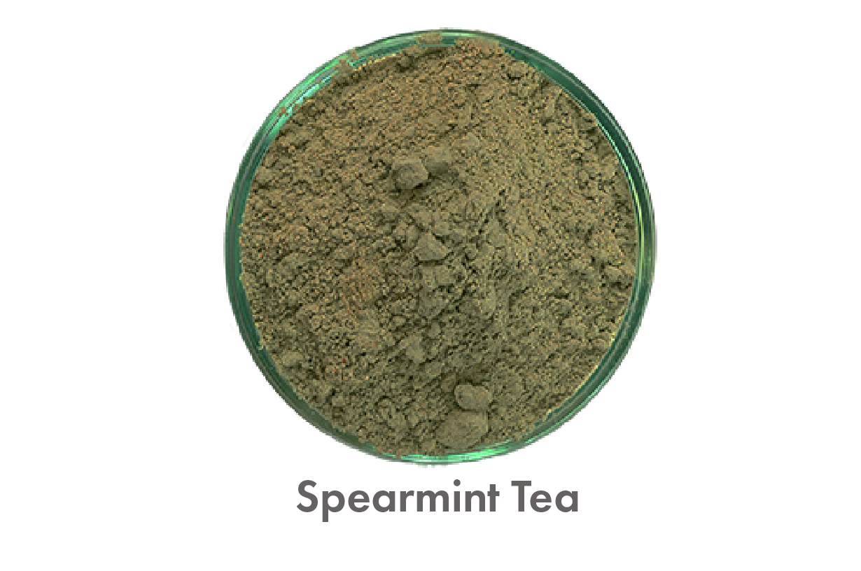 Spearmint Tea-01-01-01-01-01-01-01.png