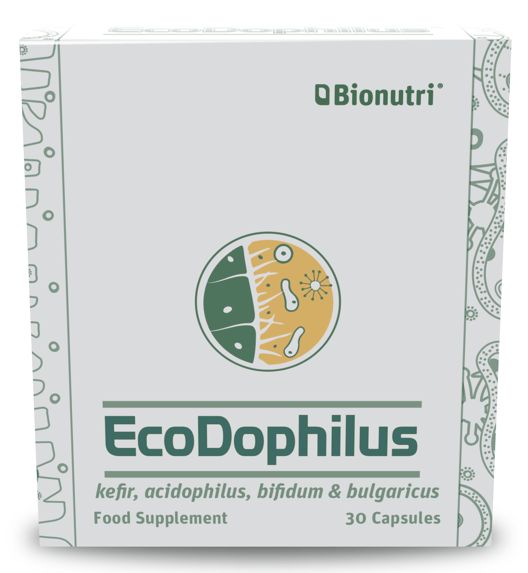 Ecodophilus FrontandBack-01.png