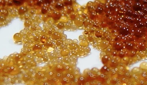resin (1).jpg