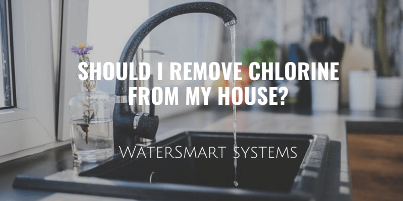 should-i-remove-chlorine-from-my-home .png