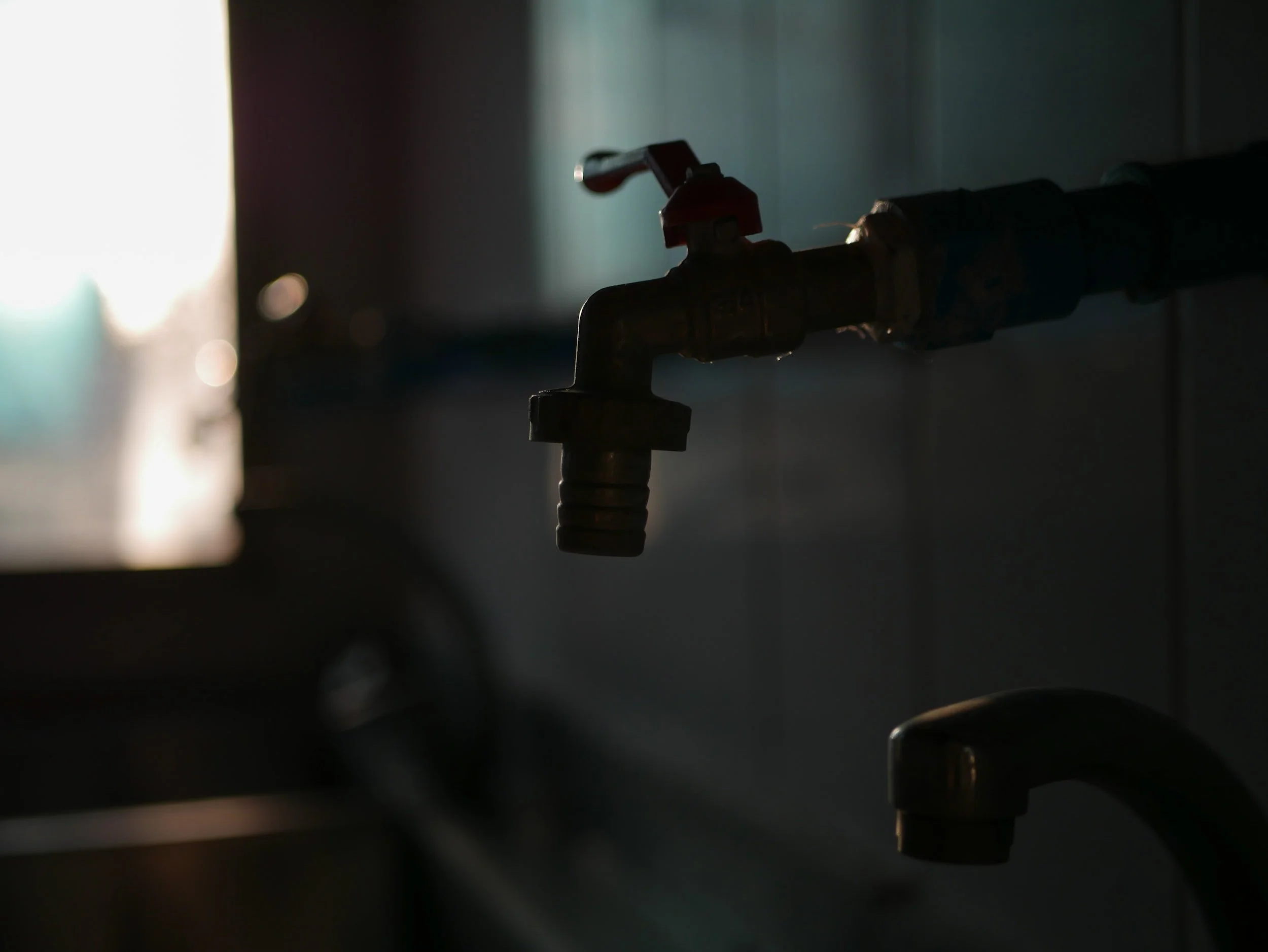 unsplash-image-sg7y0ux4fdU.jpg
