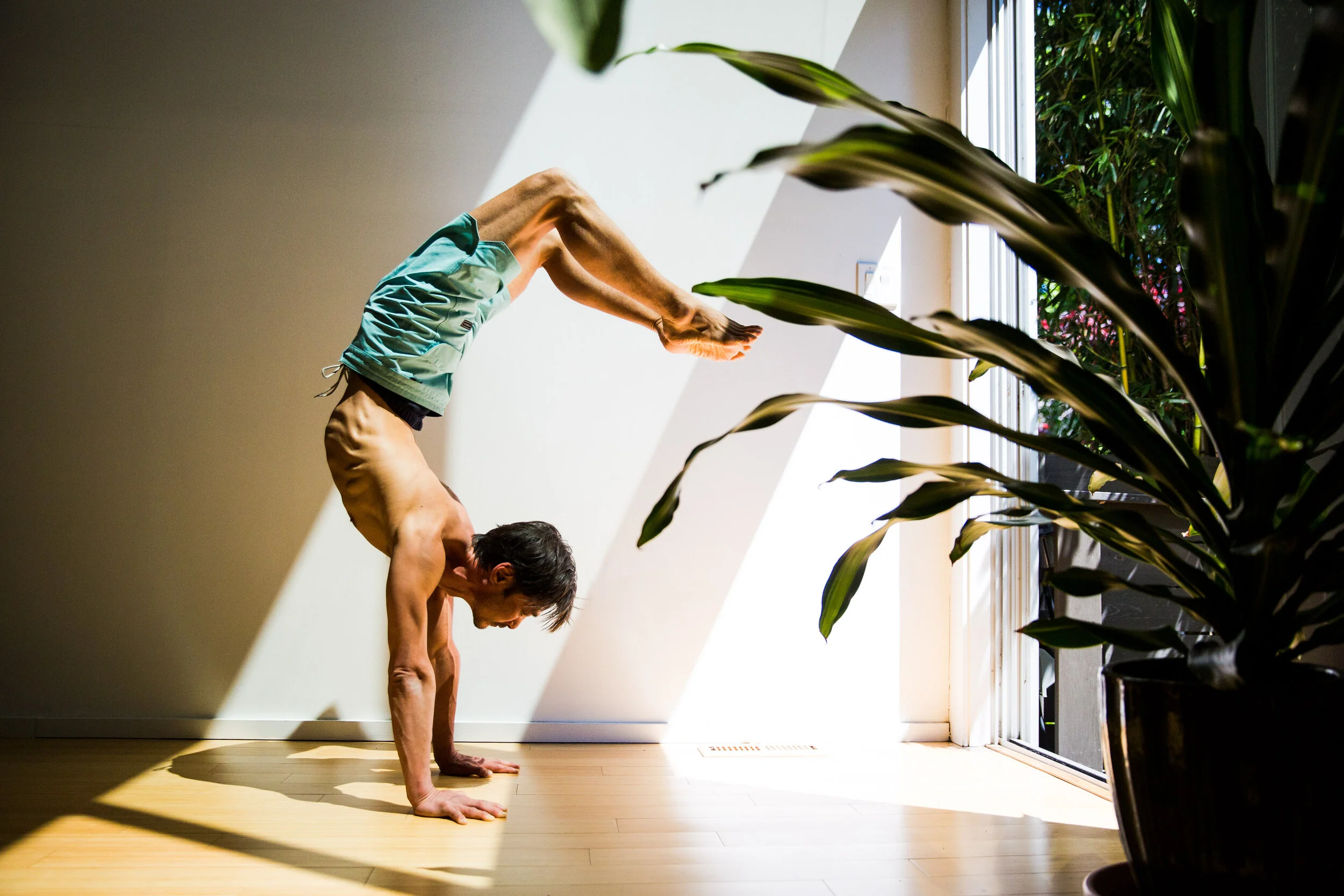 Plant Scorpion(1).jpg