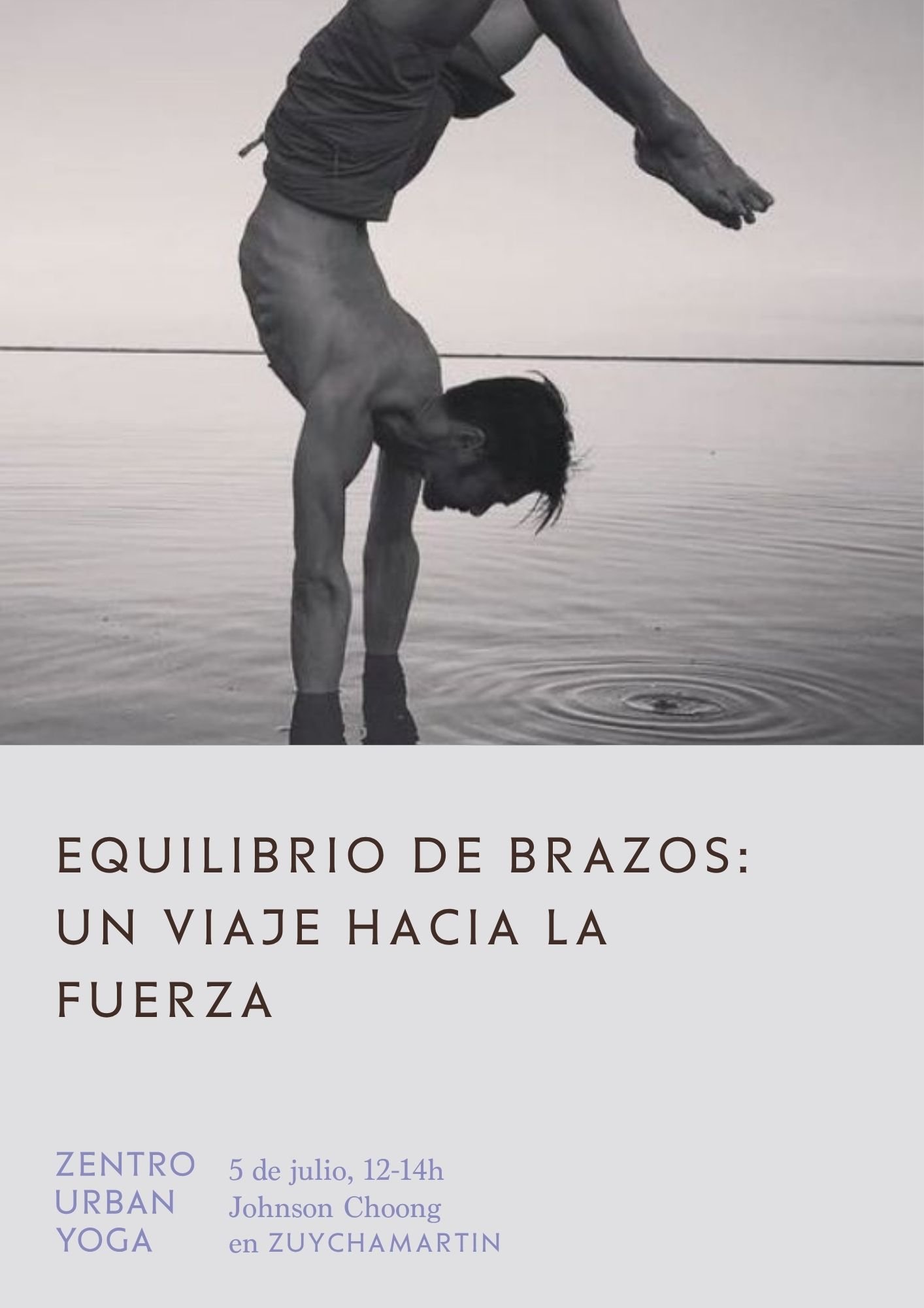 EQUILIBRIO DE BRAZOS