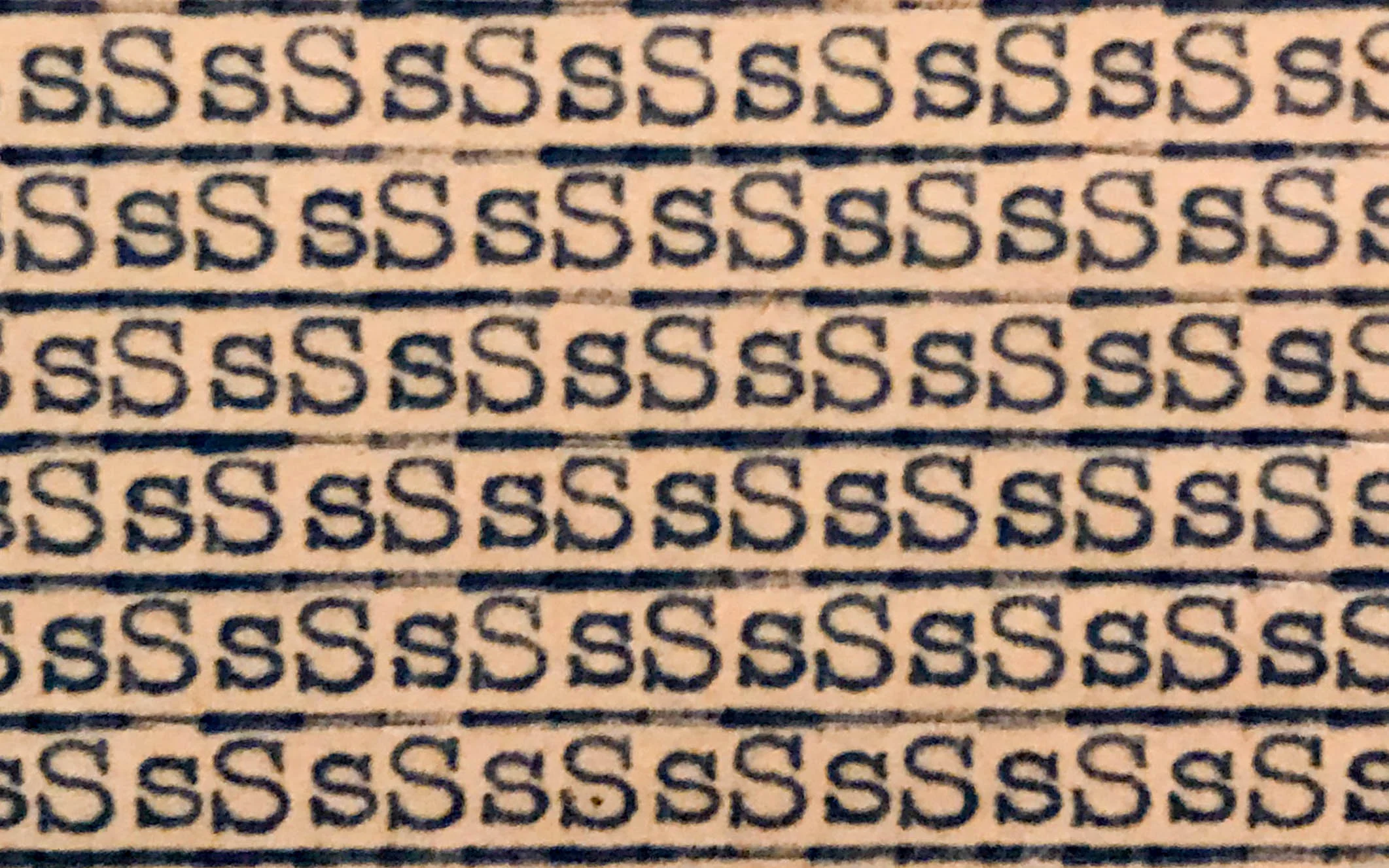 anni albers sSs rectangle.jpg