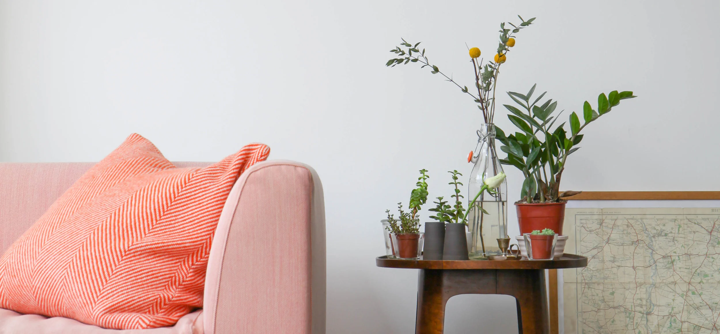 pink sofa and plants.jpg