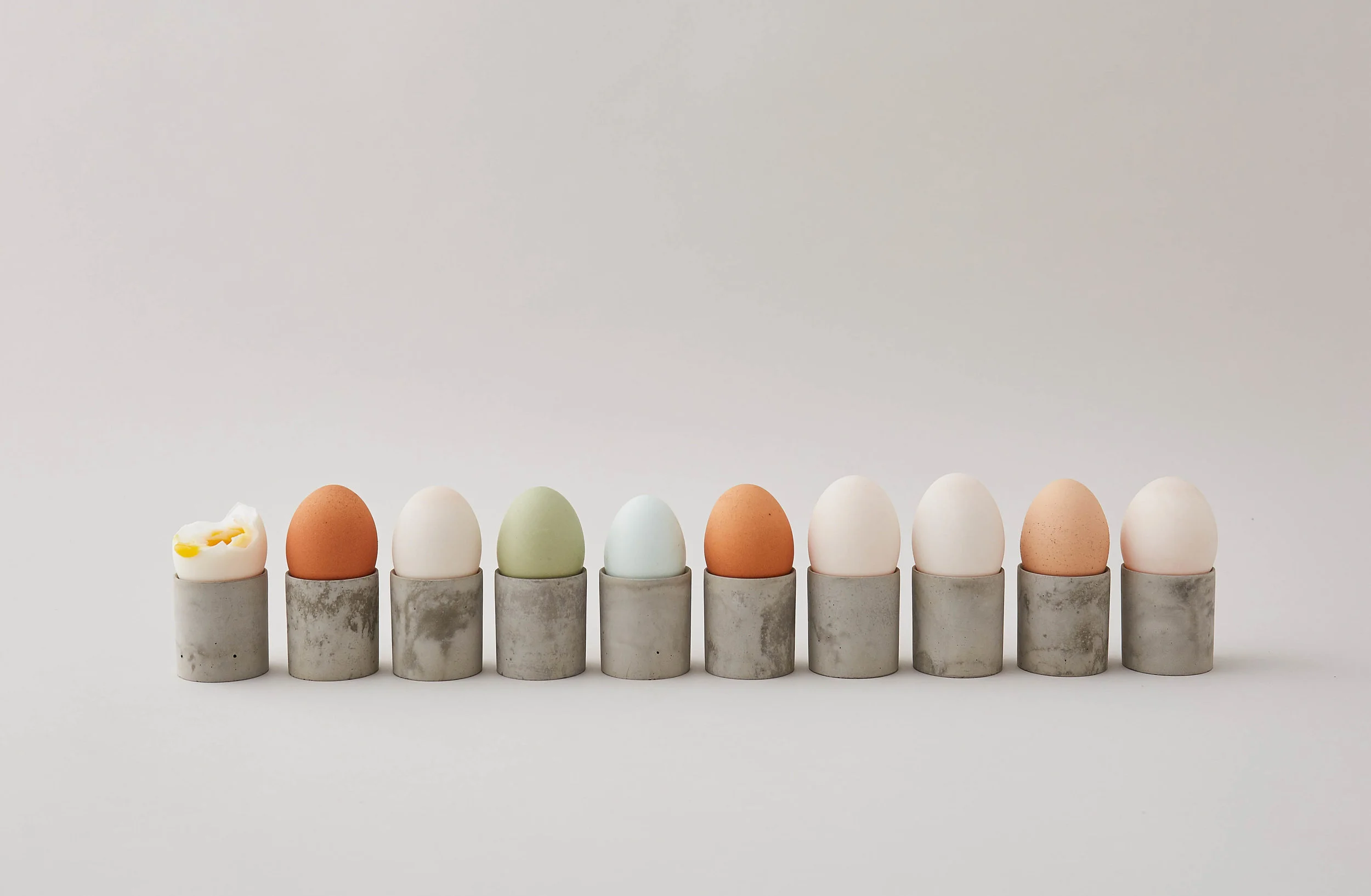 egg line.jpg