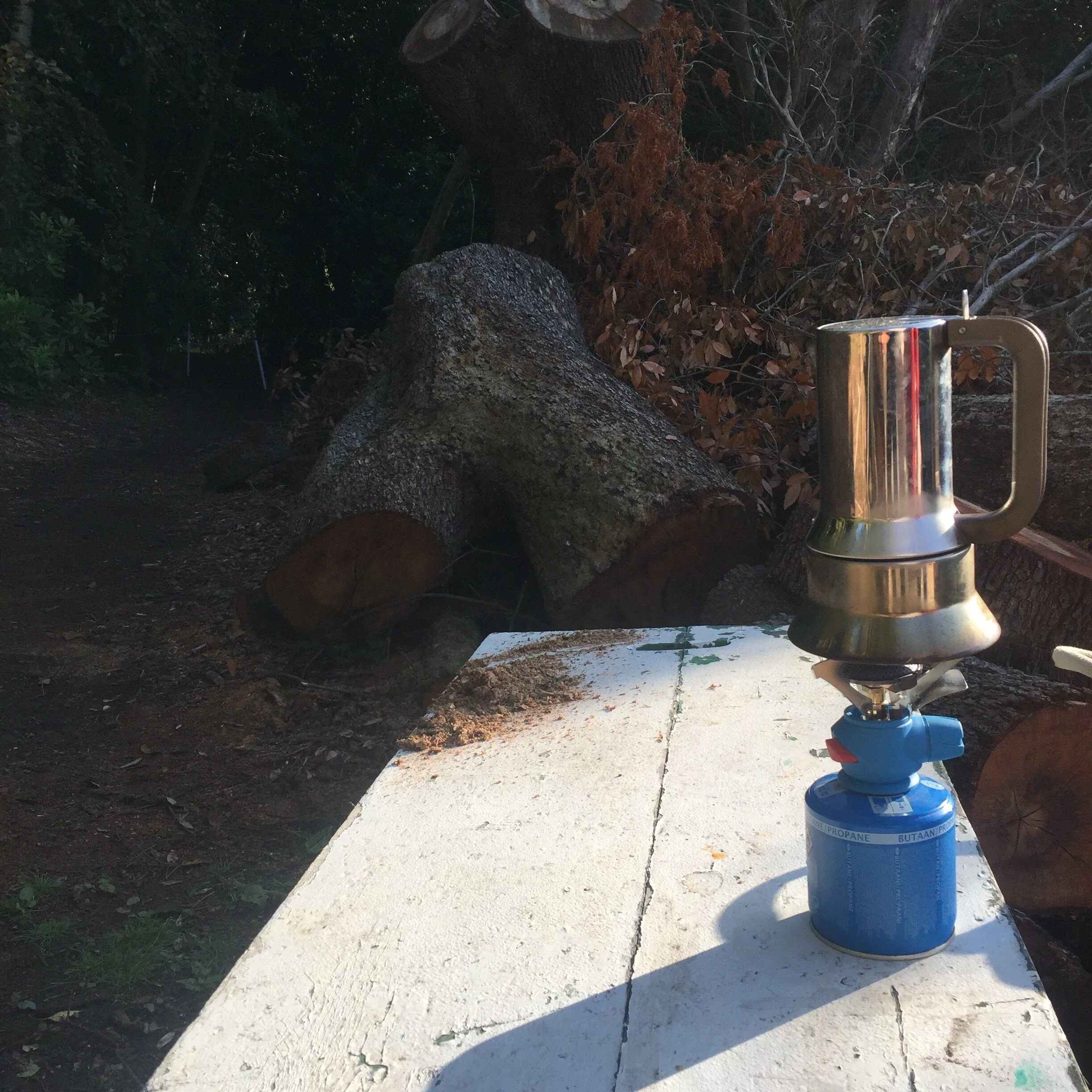 THE ACCOUTREMENTS OF COFFEE 